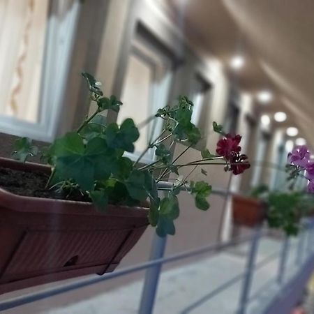 Rooms Stefan 수보티차 외부 사진
