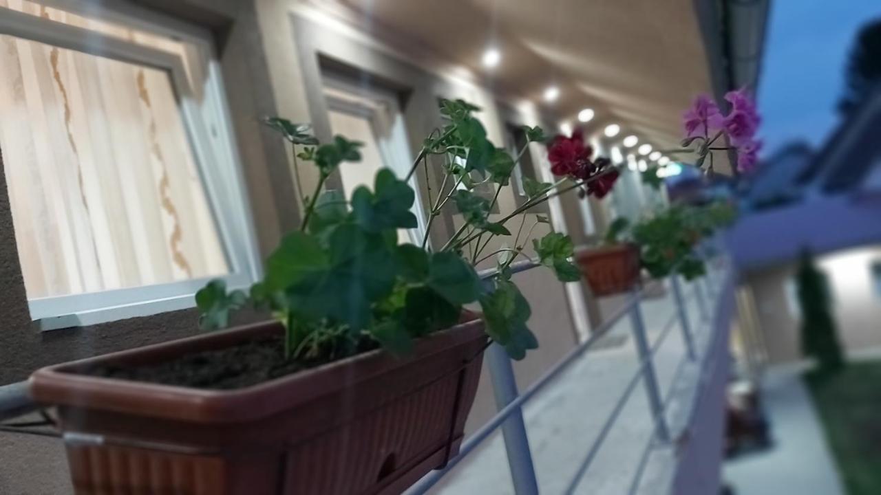 Rooms Stefan 수보티차 외부 사진