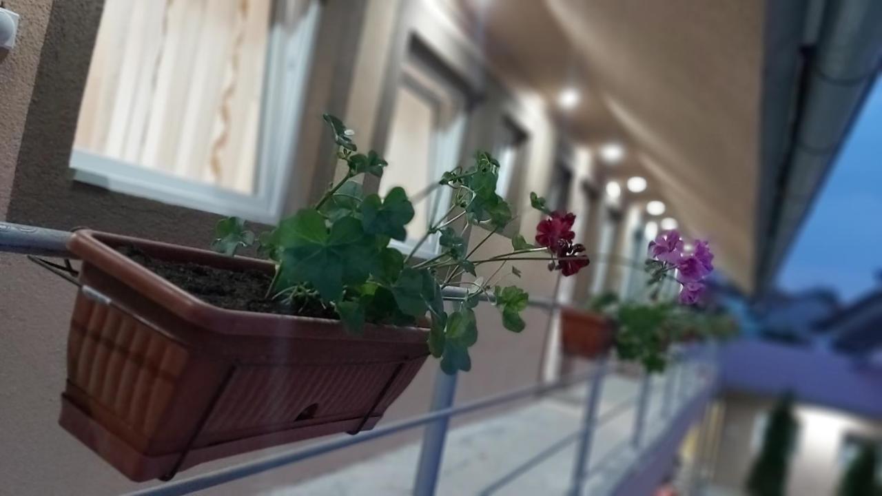 Rooms Stefan 수보티차 외부 사진
